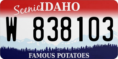 ID license plate W838103