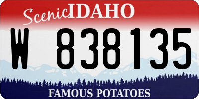 ID license plate W838135