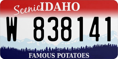 ID license plate W838141