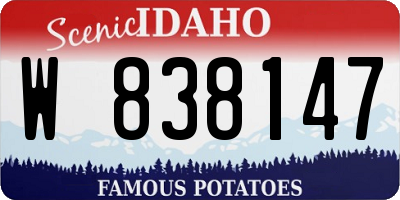 ID license plate W838147