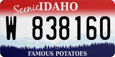 ID license plate W838160