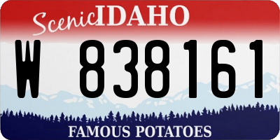 ID license plate W838161