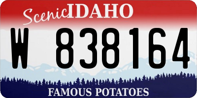 ID license plate W838164