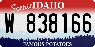 ID license plate W838166