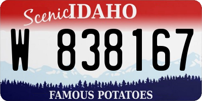 ID license plate W838167
