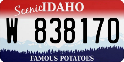 ID license plate W838170