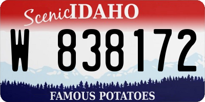 ID license plate W838172