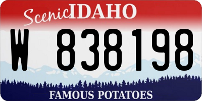 ID license plate W838198
