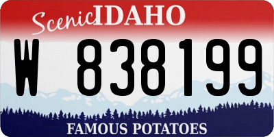 ID license plate W838199