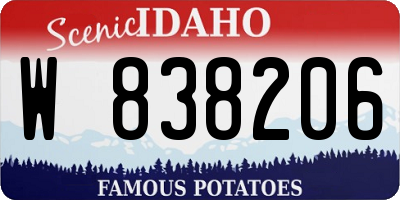 ID license plate W838206