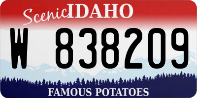 ID license plate W838209