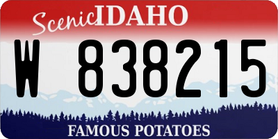 ID license plate W838215