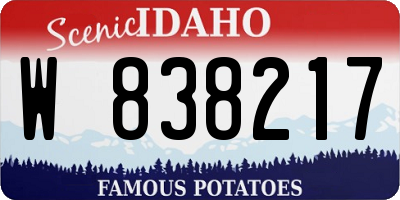ID license plate W838217