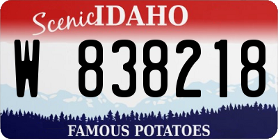 ID license plate W838218