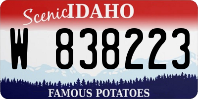 ID license plate W838223