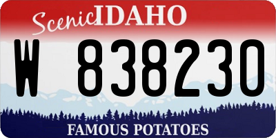ID license plate W838230