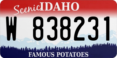 ID license plate W838231