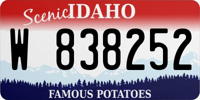ID license plate W838252