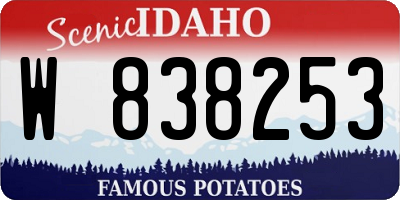 ID license plate W838253
