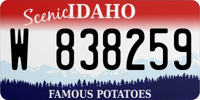 ID license plate W838259