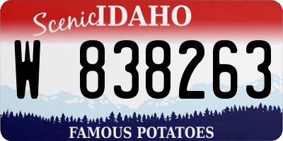 ID license plate W838263