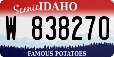 ID license plate W838270