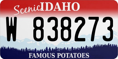 ID license plate W838273