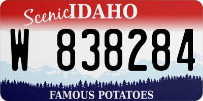 ID license plate W838284