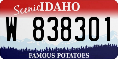 ID license plate W838301