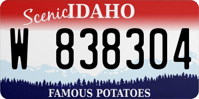 ID license plate W838304