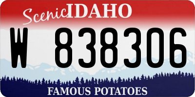 ID license plate W838306
