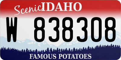 ID license plate W838308