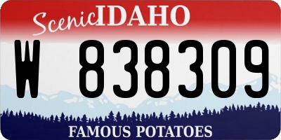 ID license plate W838309