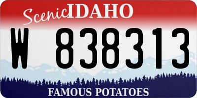 ID license plate W838313