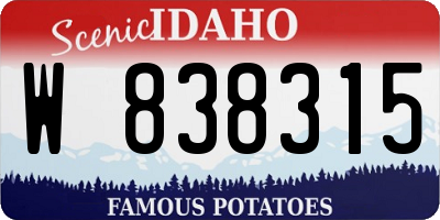 ID license plate W838315