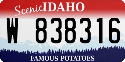 ID license plate W838316