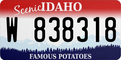 ID license plate W838318