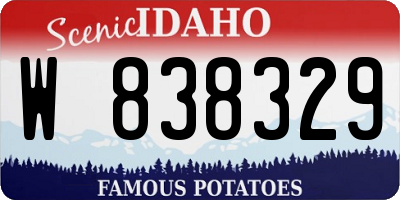 ID license plate W838329