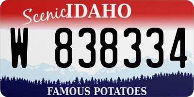 ID license plate W838334