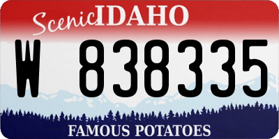 ID license plate W838335
