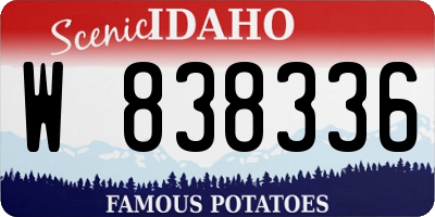 ID license plate W838336