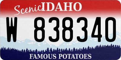 ID license plate W838340