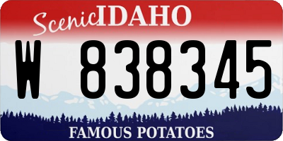 ID license plate W838345