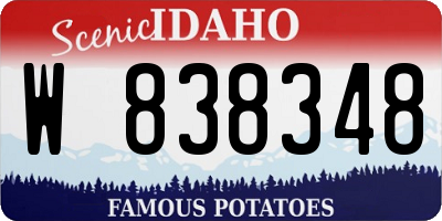 ID license plate W838348