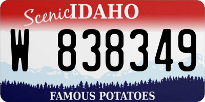 ID license plate W838349