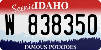ID license plate W838350