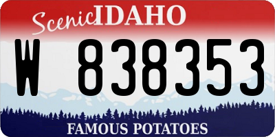 ID license plate W838353