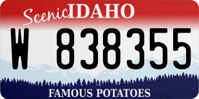 ID license plate W838355