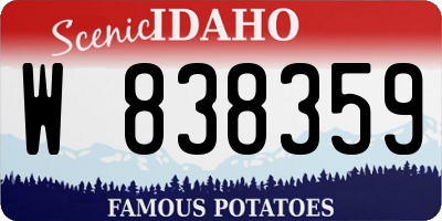 ID license plate W838359