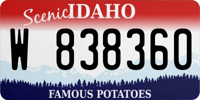 ID license plate W838360